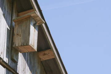 wooden birdhouse with its inhabitant starling