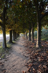 Kleine Allee am Lingnerschloss