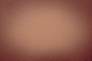 Brown Snakeskin Leather Background Texture with Vignette