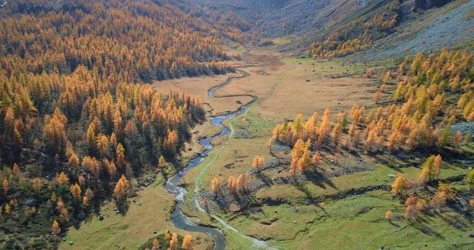 forward aerial over alpine mountain valley and orange larch forest woods in sunny autumn.Europe Alps outdoor colorful nature scape mountains wild fall establisher.4k drone flight establishing shot