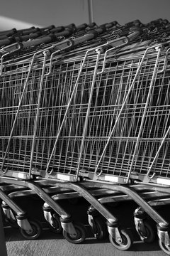 Row of empty shopping carts
