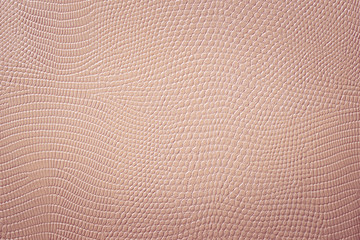 Bright Brown Beige Snakeskin Leather Texture 
