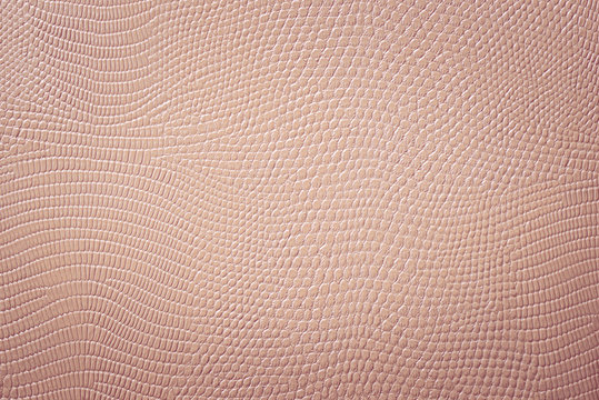 Bright Brown Beige Snakeskin Leather Texture 