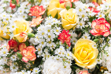 Group of variety flower background.