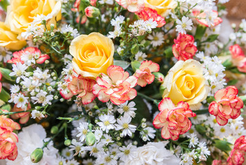Group of variety flower background.