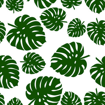 Palm seamless pattern. Monstera leaves. Tropical leaves seamless background © Aygun