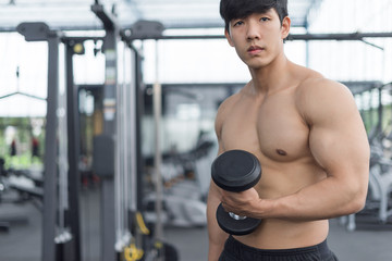 Naklejka premium Fitness man in training showing exercises with dumbbells in gym