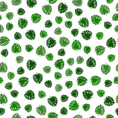Palm seamless pattern. Monstera leaves. Tropical leaves seamless background
