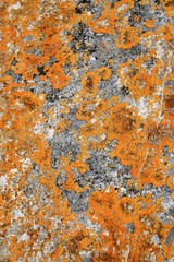 texture stone
