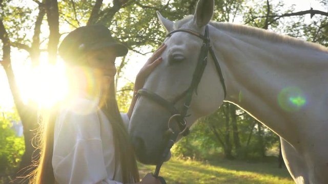 Horsewoman smiles and strokes the horse's nose in the leaks of the sun