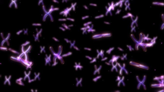 Animation rotation of model molecule able to seamless