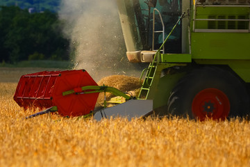 combine harvester on a wheat field. Combine working on a wheat field. Combine harvester in action...