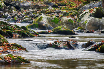 Mountain stream with mossy rocks