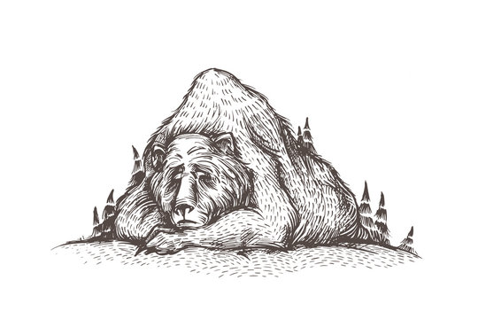 Let it snow. Cute and lovely handsketched illustration of old sleeping bear, looks like a mountain, into the woods. Forest bear, winter mood, christmas card. Seasonal greetings.