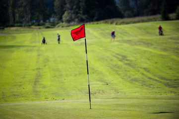 Red flag on a golf green with players far on the background