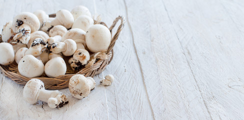 Champignon Mushrooms  on a table