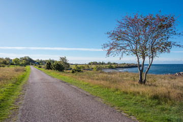 Djupvik on the west coast of Swedish Baltic sea island Oland during early autumn. Oland is a popular tourist destination in Sweden during summertime.