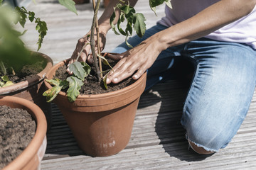 Woman caring for plants on balcony