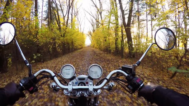 4K. Amazing motorcycle ride towards sunset on the golden forested road in autumn, wide point of view of rider. Classic cruiser/chopper forever! 