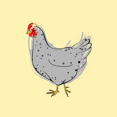 chicken vector