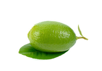 fresh lime on white background