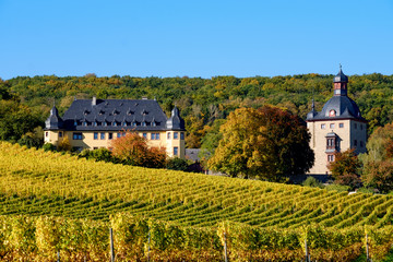 Fototapeta na wymiar Schloss Vollrads im Herbst