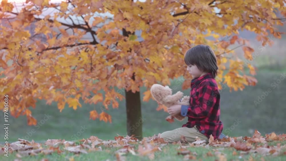 Poster Adorable little boy with teddy bear in the park on an autumn day in the afternoon, sitting on the grass