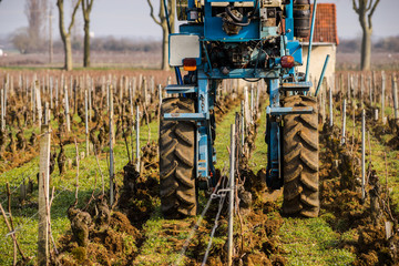 Obraz premium tracteur dans la vigne