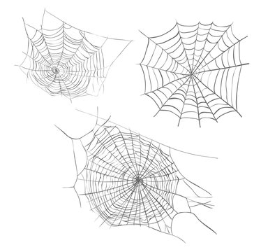 Spiderweb sketch vector illustration. Spider web hand drawing set collection spider web