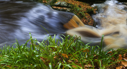Waterfall in fairy glade