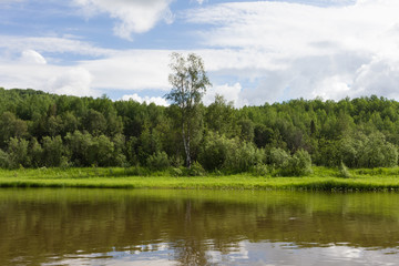 Fototapeta na wymiar Landscape with lonely birch. Krasnoyarsk region, Russia 