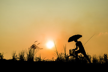 Silhouette of boy riding bicycle on sunset background.