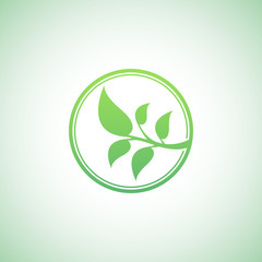 Green leaf logo template. Eco lifestyle concept.
