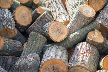 Close up of a pile of wood for splitting. Shallow depth of field.