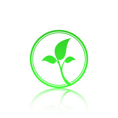Green leaf logo template with reflect. Eco lifestyle concept.