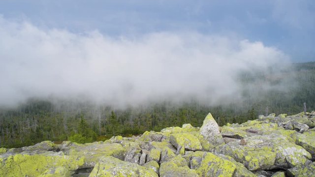 Mountain summit top view in clouds of Lusen, Bavaria Germany