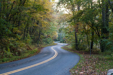 Curvy Road