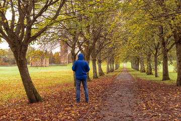 Fototapeta premium Tree Covered Woodland Walk with castle Ruins and a person i blue in the foreground