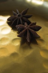 Two star anise in plate