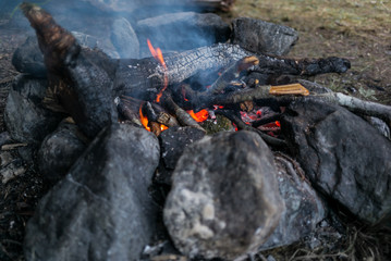 Resting at a campfire  on the shores of the Naerofjord in Norway - 3