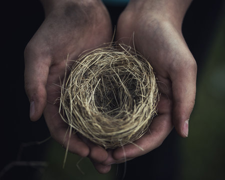 Nest In Little Girl's Hands