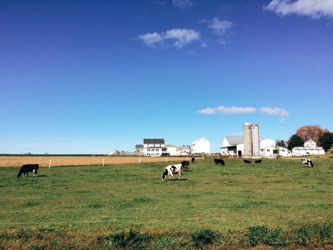 Rural landscape and farm scenery in Amish Country Lancaster, Pennsylvania