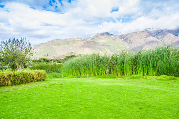 Beautiful view of some typical plants in the beautiful Yahuarcocha lake, with a gorgeous cloudy day in Ecuador