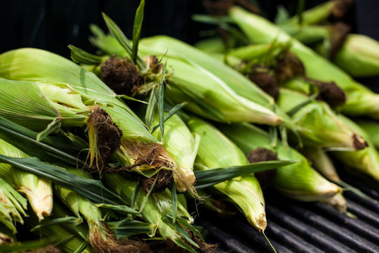 Corn in the husk in the back of a blue pick up truck