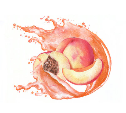Hand-drawn watercolor vibrant illustration of the fresh juicy peaches. Dynamic splashes of the peaches juice and ripe fruits isolated on the white background. Food clipart.