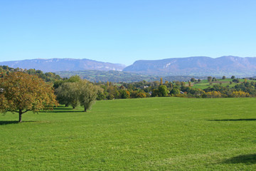 Fototapeta premium campagne dans l'Albanais en Savoie