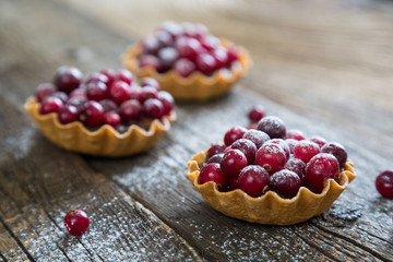 Tartlets with apple jam and fresh cranberries