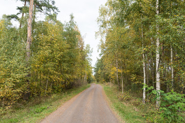 Fototapeta na wymiar Gravel road in fall season colors