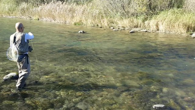 pescatore sul fiume con canna da pesca a mosca