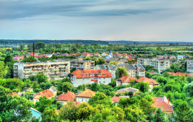Fototapeta na wymiar Aerial view of Mukachevo town in Transcarpathia, Ukraine
